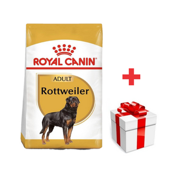 ROYAL CANIN Rottweiler Adulto 12kg  + sorpresa gratis