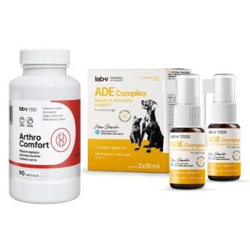 LAB-V Arthro Comfort – Apoyo integral para la salud de las articulaciones y del sistema musculoesquelético para perros y gatos, 90 cápsulas