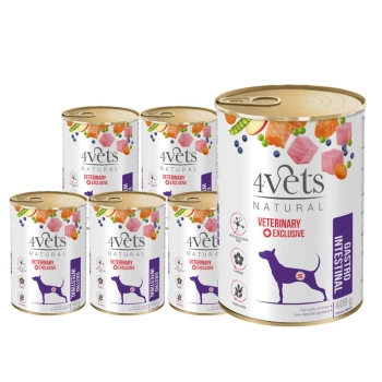 Dolina Noteci 4Vets Gastro Intestinal para perros 6x400g