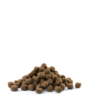 Versele-Laga Opti Life Adult Skin Care Medium&Maxi con Salmón 12,5kg