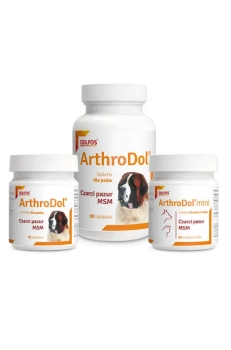 Dolfos ArthroDol 90 comprimidos