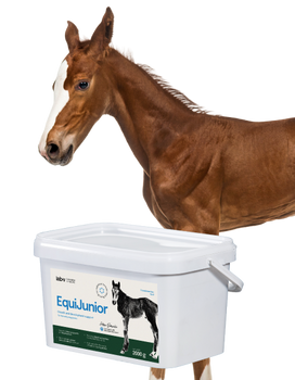 Lab-v EquiJunior - Pienso complementario para potros para favorecer el crecimiento, el desarrollo y la nutrición adecuada de caballos jóvenes y ponis 2kg