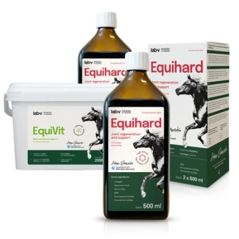Lab-v Horse Care Box - Set de regalo de caballos