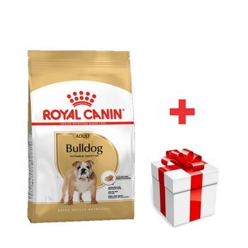 ROYAL CANIN Bulldog Adulto 12kg  + sorpresa gratis