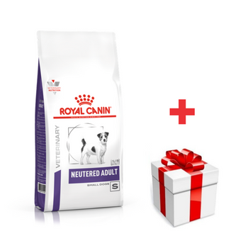 ROYAL CANIN Neutered Adulto Perro Pequeño 8kg + sorpresa gratis
