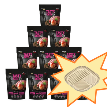 Plato de gelatina de cerdo Tasty Dogs Life 10x500 g