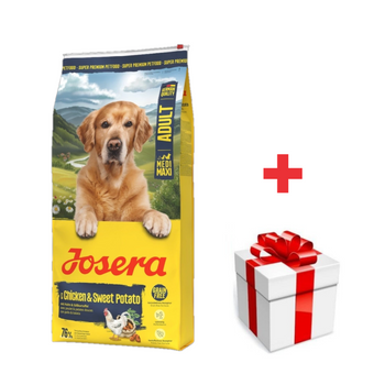 JOSERA Medi/Maxi Chicken & Sweet Potato 12,5kg + sorpresa para el perro