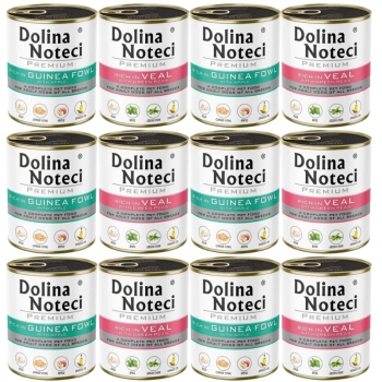 Dolina Noteci PREMIUM Mezcla de Sabores 12x800g