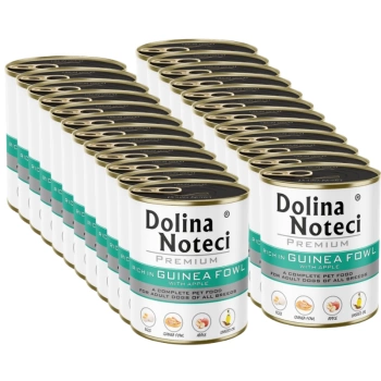 Dolina Noteci PREMIUM rica pintada con manzana 24x800g