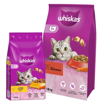 WHISKAS Alimento Seco para Gatos 1+ con Carne de Buey 14kg & WHISKAS Adult 3,8 kg - alimento seco para gatos adultos, con delicioso pollo