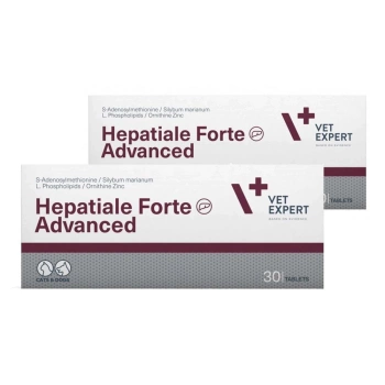 VETEXPERT Hepatiale Forte Avanzado 2x30