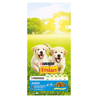 PURINA Friskies Junior 8kg