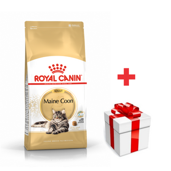 ROYAL CANIN Maine Coon Adulto 10kg + sorpresa gratis