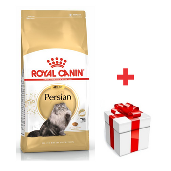 ROYAL CANIN Persian Adult 10kg +sorpresa gratis