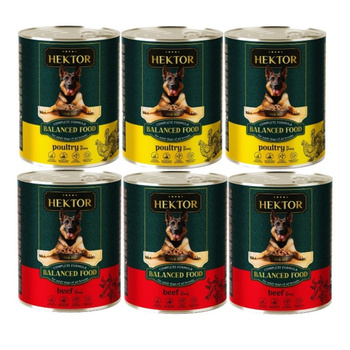 Hektor 6x1240g Mezcla de Sabores