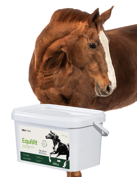 Lab-v EquiVit - alimento dietético para caballos, refuerza la inmunidad y las articulaciones 2kg