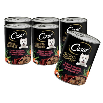 CESAR lata 6x400g - alimento húmedo completo para perros adultos, rico en carne de vacuno, aderezado con zanahorias, judías y hierbas
