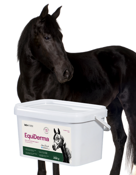 Lab-v EquiDerma - Alimento complementario para caballos y ponis para mejorar el estado de la piel, el pelo y los cascos 2kg