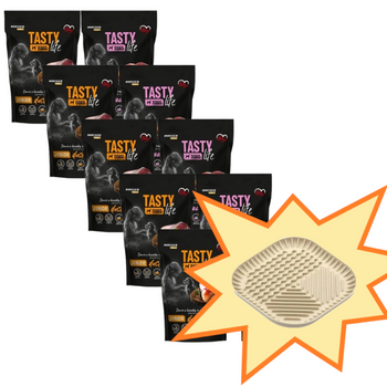 Tasty Dogs Life Junior Comida Mix de sabores en gelatina 10x500g