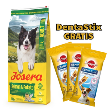 JOSERA Adult Salmon & Potato 12,5kg + 3x DentaStix ¡GRATIS!